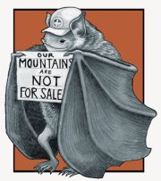 187860_258659317504777_1637536590_n