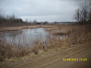 IH Irish Hills Wetland_March 2012