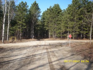 Mancelona_Well site in State Forest