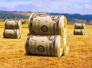 farm_subsidies-_1300977809