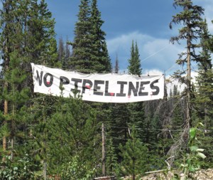 0-1-0-nopipelines