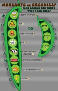 Monsanto_or_Organics_Cartoon_Cropped
