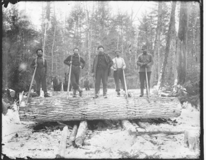 screen-shot-2016-12-15-at-2-34-49-pm