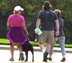 Screen Shot 2017-09-04 at 11.06.24&nbsp;AM